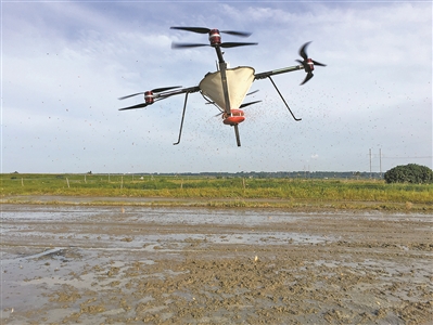  “无人”种田 智慧化数字化是粤港澳大湾区农业发展大趋势  