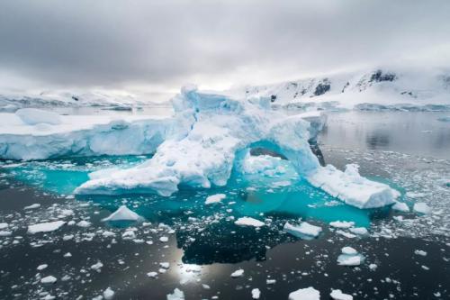 第一次拍北极熊的时候，他哭了整整 3 个小时 