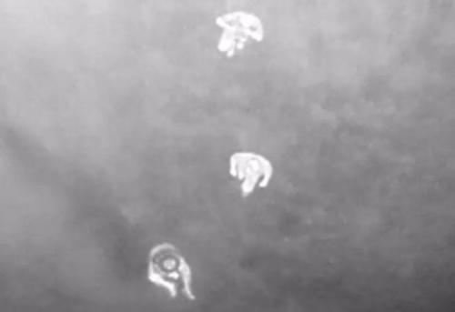 热像无人机深夜找到88岁失踪老人并挽救其性命