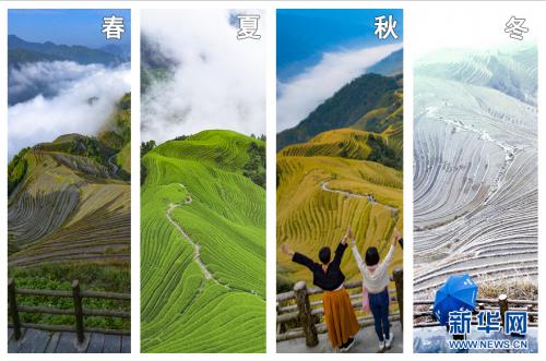 无人机带您领略广西龙脊梯田的四季美景