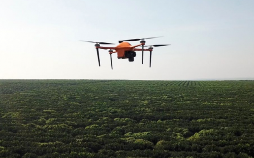 初创公司SeeTree采用人工智能和无人机为农民提供农作物情报服务 