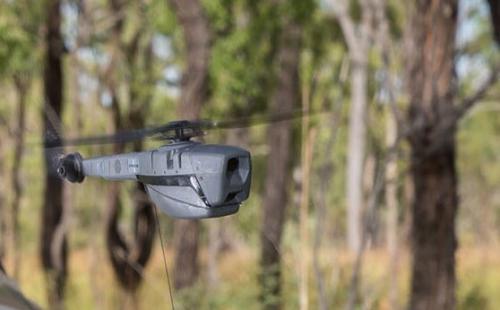 FLIR“黑色大黄蜂”无人机系统将装备法国武装部队