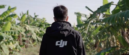 丰年贺岁：你好，身披荣耀的新农人