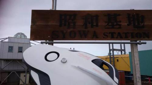 小海鳐游向地球最南端——南极，助力科考团探索冰下世界