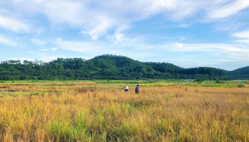 极飞的未来在哪里？