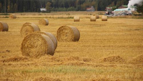 用秸秆做成身体的无人机，你愿意尝试吗？