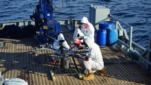 “岛屿保护”组织机构利用无人机驱逐岛屿入侵的啮齿动物