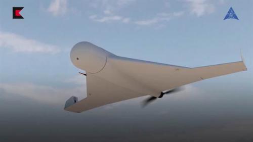 廉价巡弋飞弹？ 卡拉什尼科夫推销「自爆无人机」