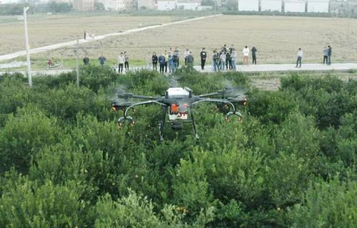 深耕 15 年，他们为农业插上科技翅膀