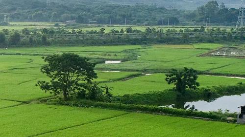 植保无人机怎么选，胖队长告诉你