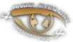 美国佛罗里达州天使之眼无人机公司（angel eyes uav）