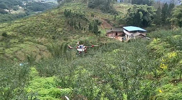 梁平：花椒植保首次用上无人机