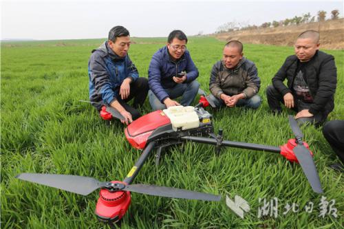 无人机田间传技 助力春耕春管