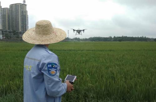 植保无人机飞防服务有哪些优势