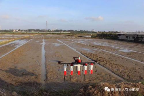 关于加快推动水稻机械化种植水平提升的通知