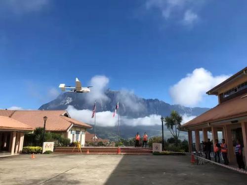 太阳去流浪了？那大鹏去哪儿了？