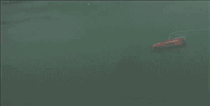 黑科技机器人小海鳐大变身，助力日本消防事业