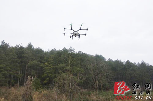 城步使用无人机开展森保工作
