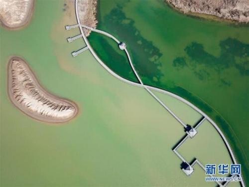 鸟瞰黄河口湿地风光