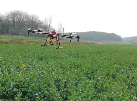 春耕进行时：菜农忙排渍 无人机忙飞防 确保油菜顺利渡春
