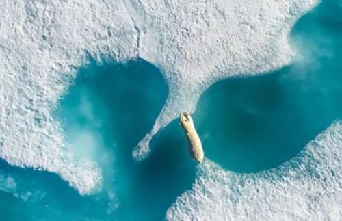 2018年度无人机摄影大赛