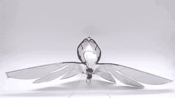 MetaFly飞行机器昆虫 ，喜欢无人机的朋友你知道吗？