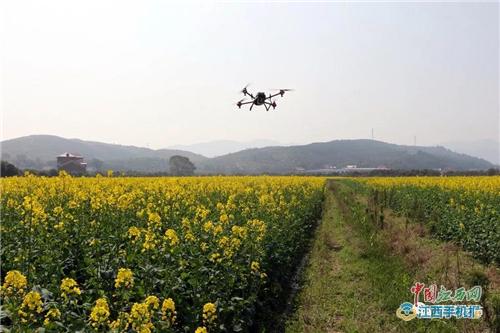 莲花县植保无人机助力农民增收
