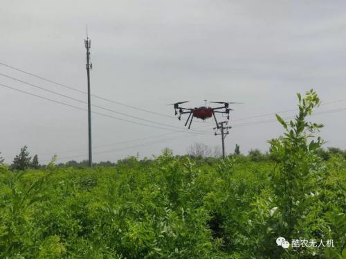 植树节，酷农无人机如何应用于农林植保