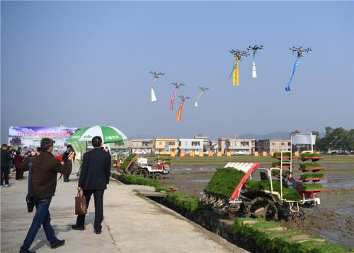 无人机、水稻机……江门的春耕有点“潮”