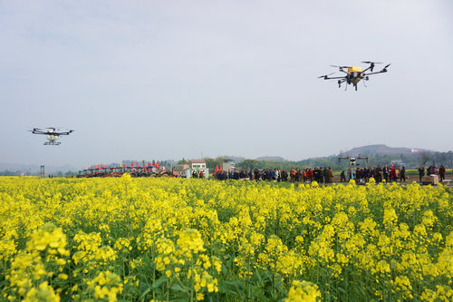 大足：农用无人机让“老把式”也要“赶时髦”
