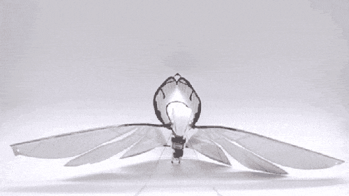 像蝴蝶一样扇动翅膀 它比无人机更有趣