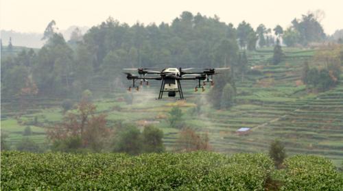 以数据撬动智慧农业，这两位年轻人还想做得更多