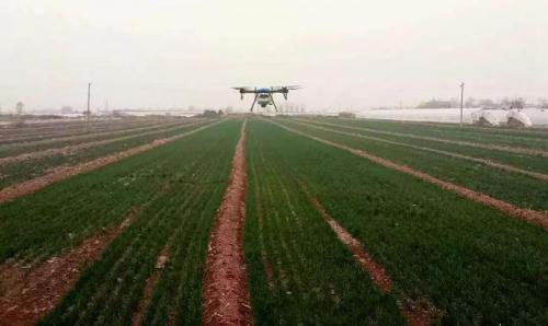 高大上！泾阳农田作业用上无人机