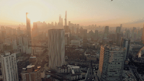 国家林业和草原局：严禁用无人机拍鸟