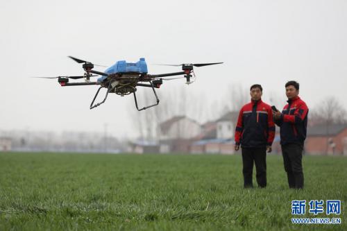 河南温县：麦田里飞起无人机