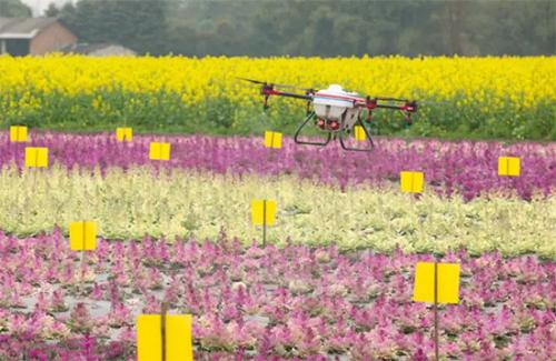 天鹰兄弟植保无人机助力现代农机智能装备产业园启动建设