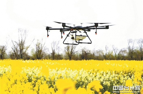 玉环：无人机成喷药“好帮手”