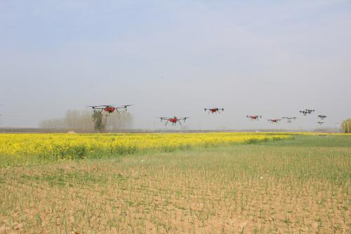 干啥大事？周口这里聚集了100多架无人机