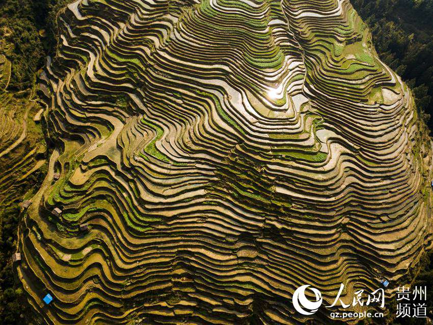 贵州从江：无人机航拍春日梯田美如画