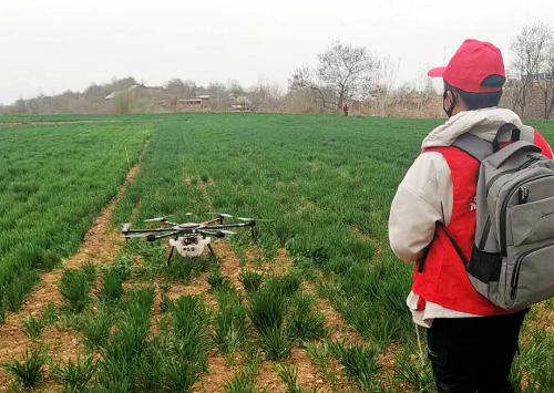 河南电大机电工程学院到长岭村进行无人机植保