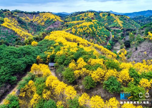 无人机带你俯瞰“四季如画的吕田”