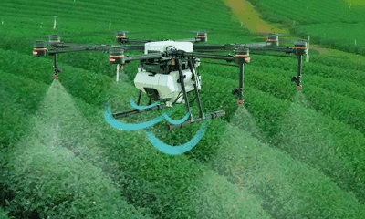 随着人口增长，科技进步将如何解决粮食危机？ 