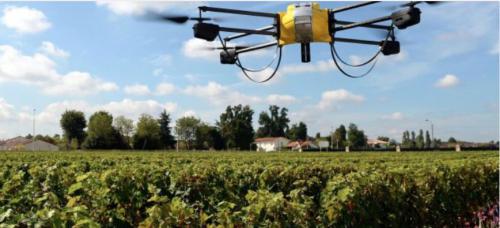 无人机怎么提供农业“地面真相”?