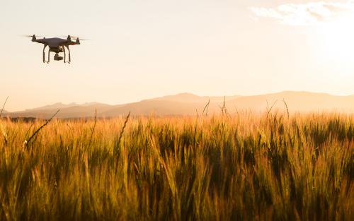 无人机与田野，一些你不曾熟悉的事儿