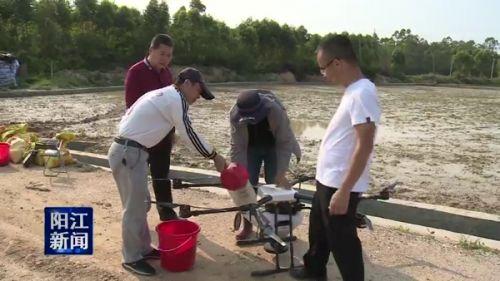 阳东雅韶：无人机应用大田耕作