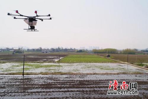 重庆市在潼南开展首次无人机水稻直播作业