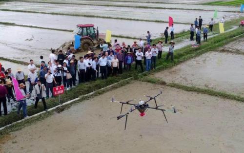 时髦！阳江首次试验水稻无人机播种 | 1台机器=10余人