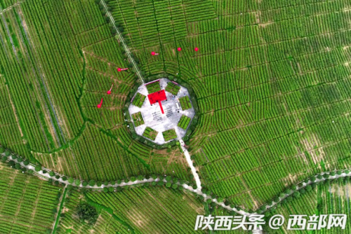 无人机视角下的2019陕西汉中仙毫开采节