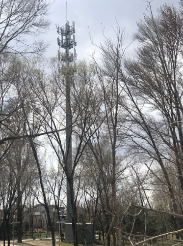 通讯、诊疗、无人机、自动售卖……5G化身世园会“大脑”