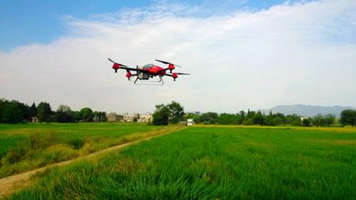 1分钟1亩地 植保无人机给农业插上“科技翅膀” 